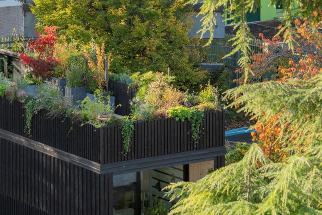 Montaż domu modułowego na działce